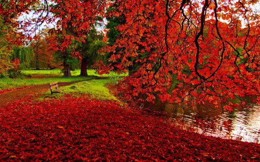 607276 (a): :1920x1200